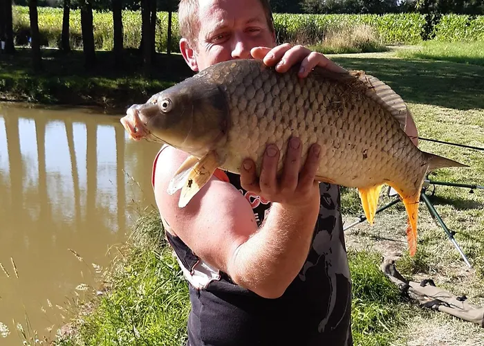 Un Air De Campagne * Saint-Pierre-la-Cour